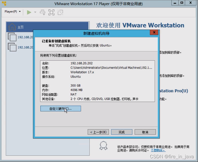 VMware Workstation Player ����������ͼ