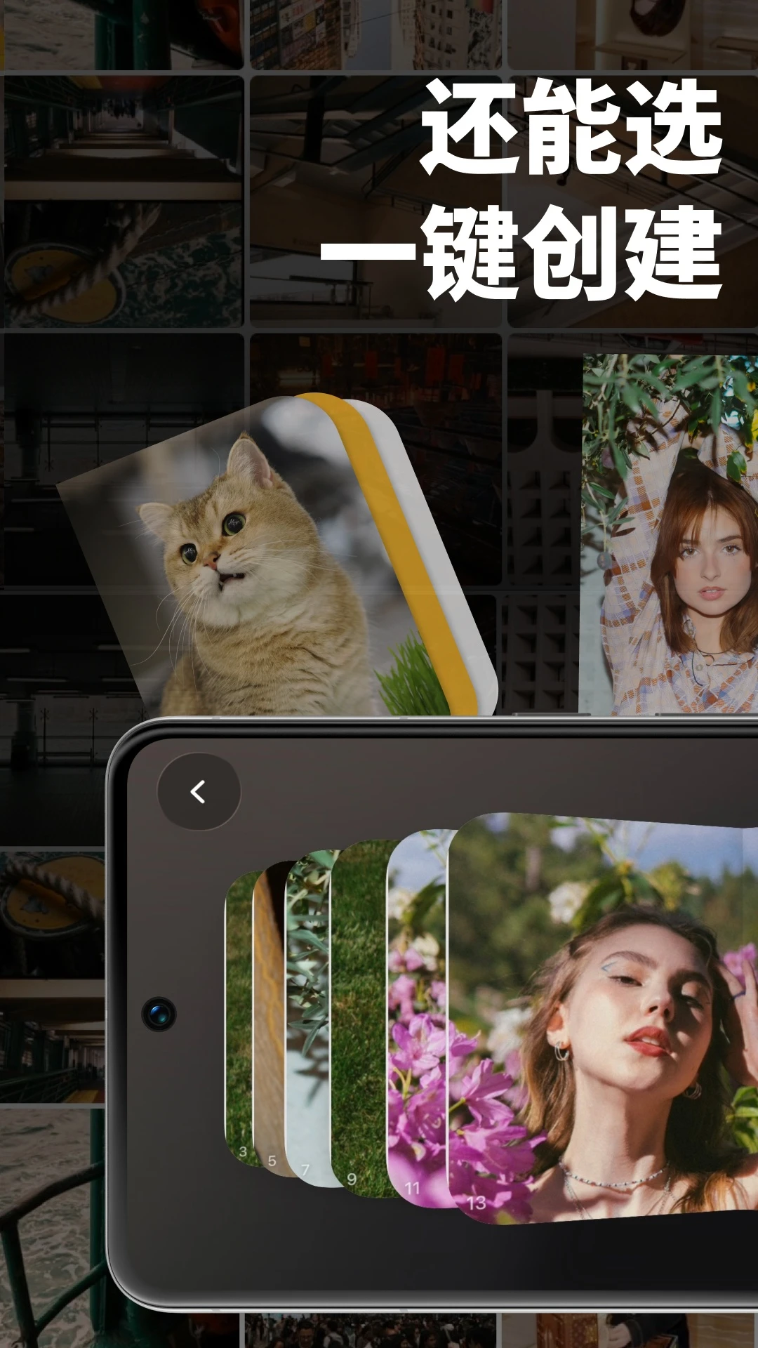 FlipYear1.0.5 ʱ�䷭ת����