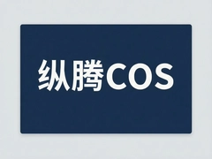 ����COS��������羳���ҽ�����Ч��·��