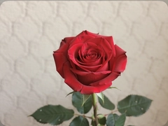 õ��������ռ��ɽ����ĳ�������Χ��