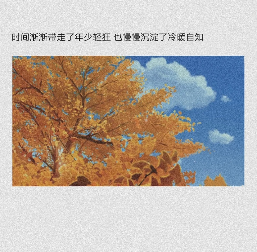 惜语日常感慨温柔短句朋友圈配图