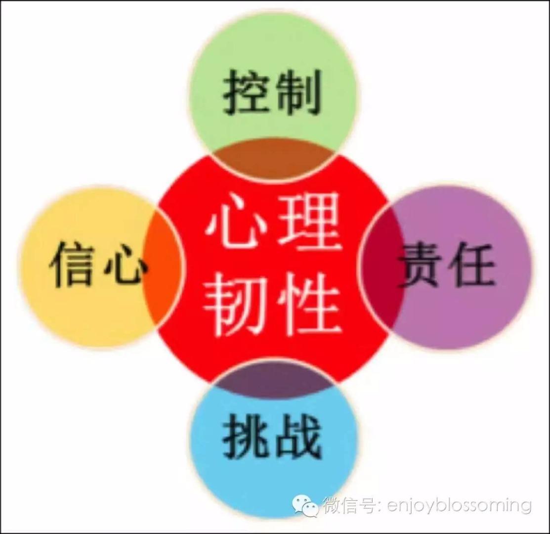 心穹内心力量建设与日常习惯养成配图