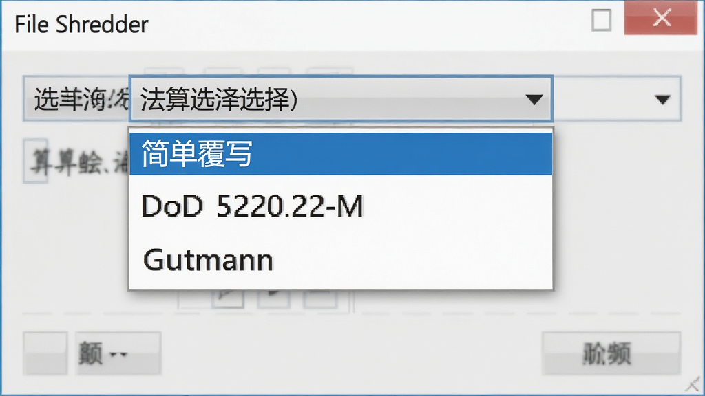 һ��չʾ File Shredder �㷨ѡ�������˵���ͼƬ���˵����г����򵥸�д������DoD 5220.22-M������Gutmann����ѡ�����Ϊ�������棬���дʵ��ϸ�����������ʸɾ����޶���Ԫ��