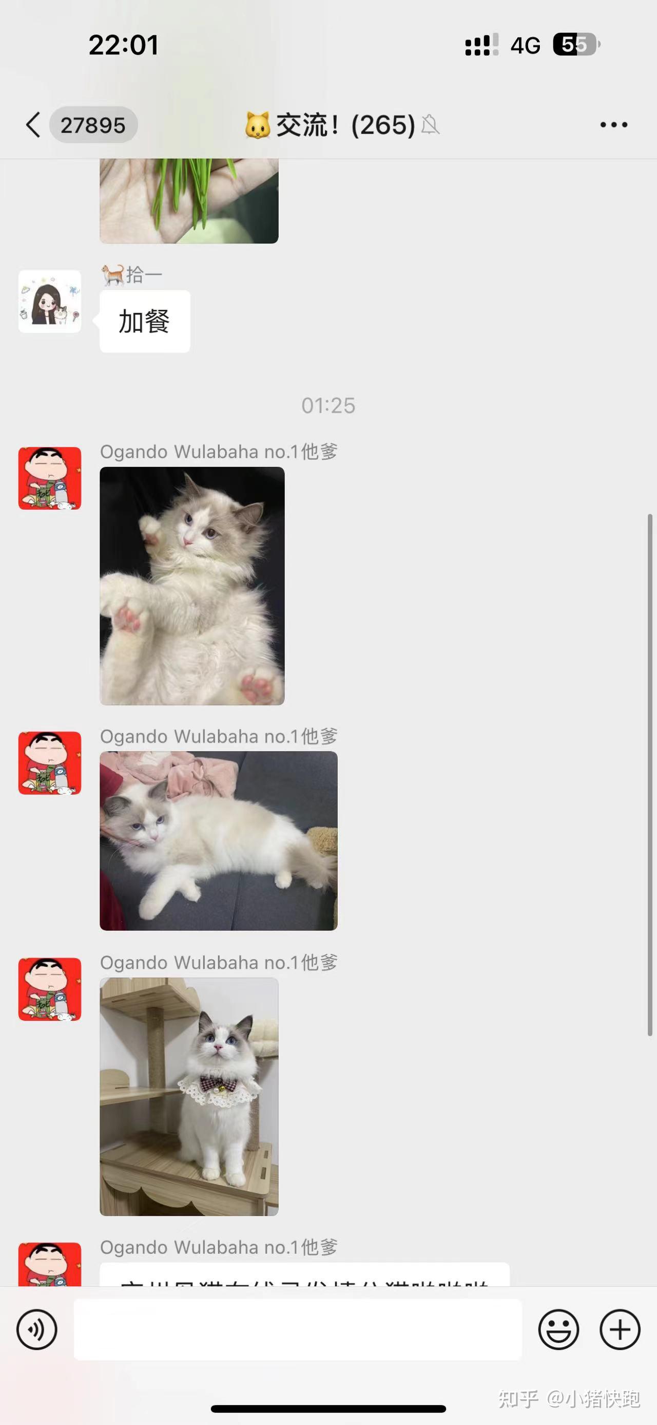 è�����罻�������� ��ʺ�ٽ���ƽ̨