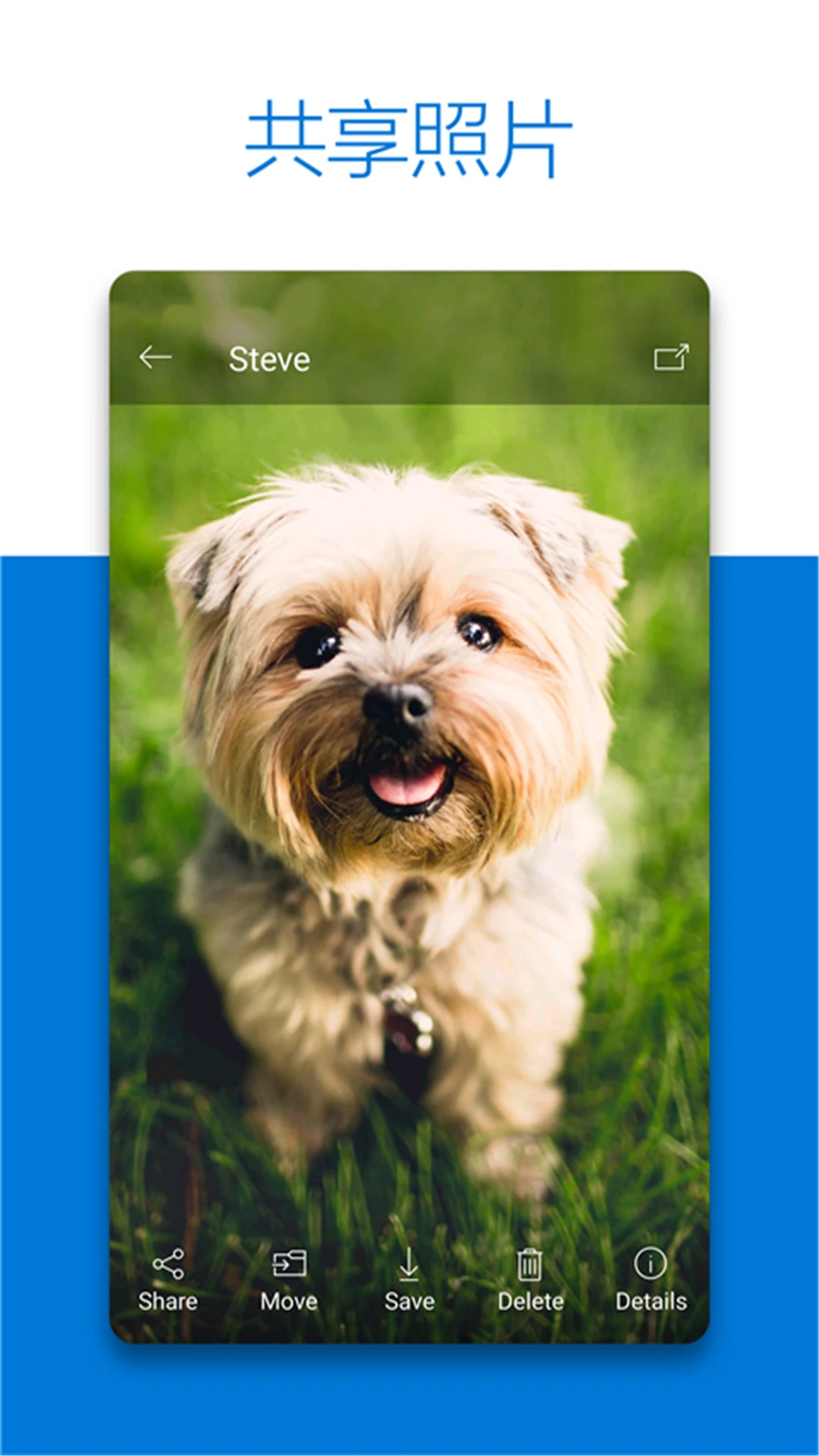 ΢������SkyDrive{package_version_name} �ƴ洢ͬ��