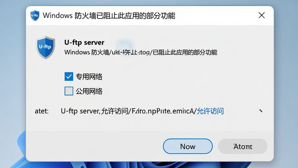 U-ftp server��Windows����ǽ�е�����������ʾ����������չʾһ����׼��Windows��ȫ���ĶԻ��򣬱���Ϊ��Windows ����ǽ����ֹ��Ӧ�õĲ��ֹ��ܡ����·��г�U-ftp server�ĳ������ƺ͸�ѡ�򣬰�����ר�����硱�͡��������硱����ѡ�����ΪWindows 11���ǳɫ��������ɫ��ť��ϸ�ڰ�������ͼ��ͳ���·���������������������ݰ�����U-ftp server�����������ʡ����������ɾ��޶���Ԫ��