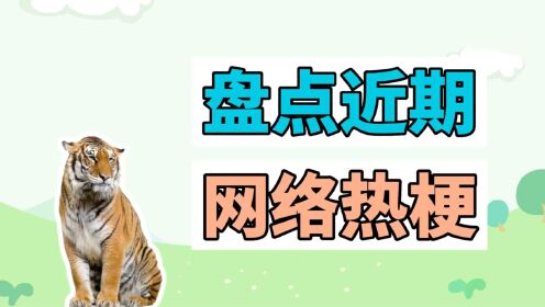 绑电虎是什么梗和意思详细解释 网络热词科普配图