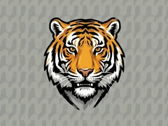��绢��ʲô������˼��ϸ����