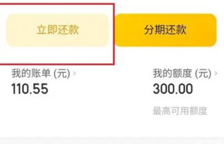 �˵�����֧��Bills Must Be Paid ���ں���뻹���ȫ���� ���ÿ��������ڷ�Ϣ����Ӱ����ͼ