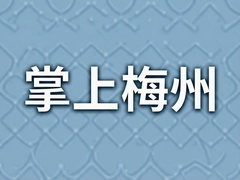 ����÷�����¶�̬��������ָ��