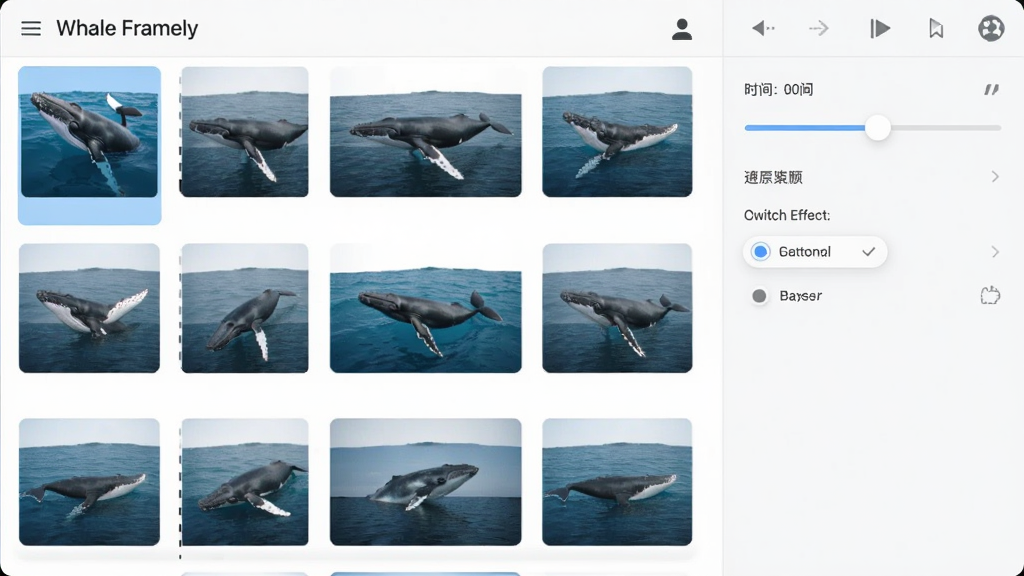 Whale Framely ��Ƭ�������棬��������ʾ����Ƭ�б��Ͳ���������壬�м��ʱ�们�顢�л�Ч��ѡ�������ֱ�ۣ�����Ϊǳɫ������ִ������ʾ�ϸ���޶���װ��