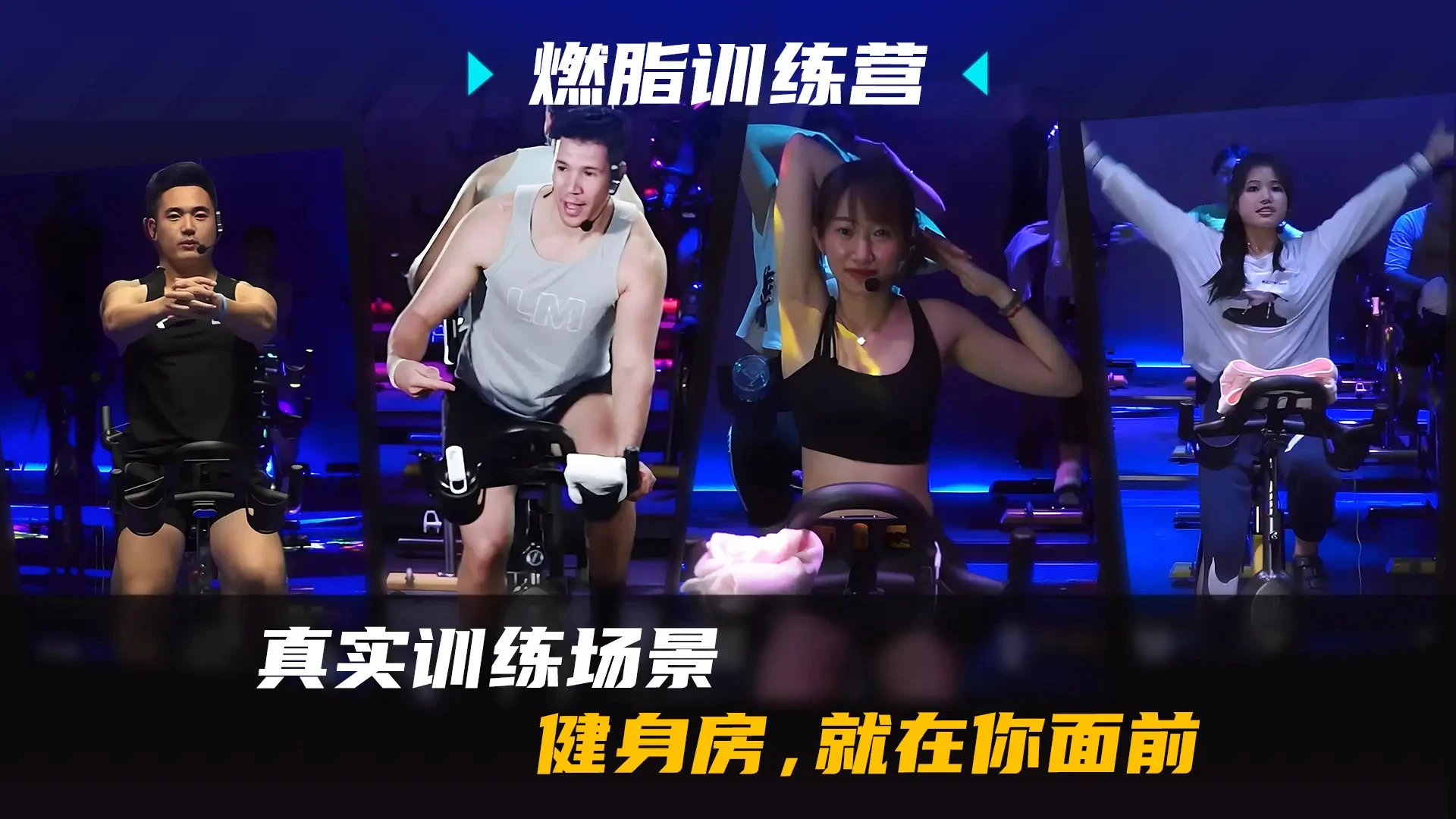���־���23.0.3 ��������