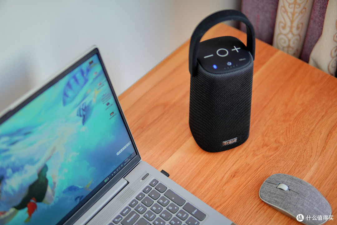 Tribit StormBox Flow XSound Go ��Я��ˮ����Ա� ʵ��ͼ