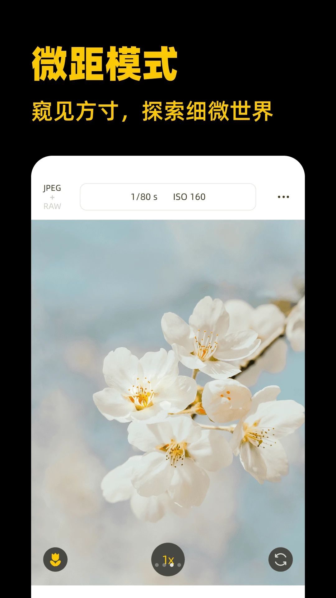 ��Լ3.2.5 �罻Լ������