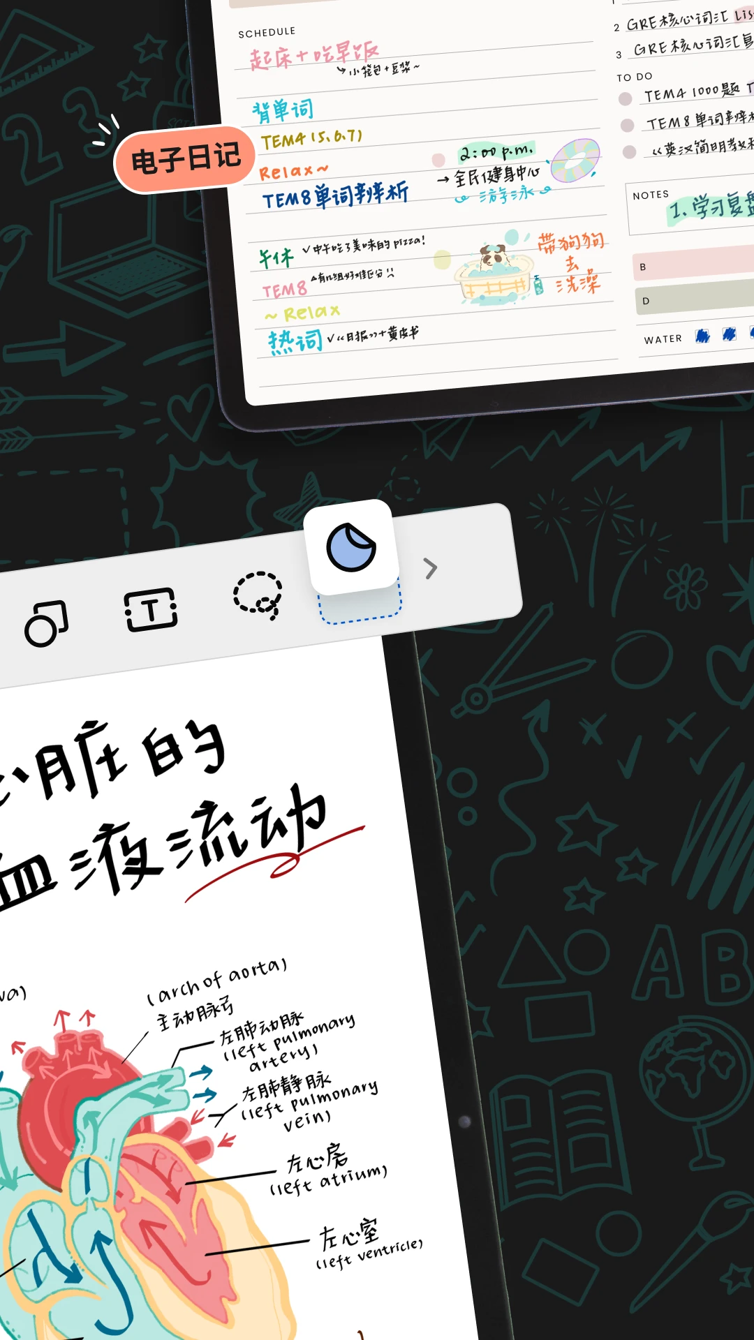 Noteshelf 3Noteshelf�ʼ�5.1.4 ��д�ʼ�