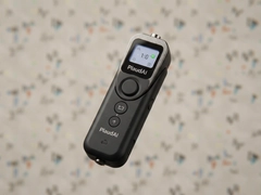 PlaudAI¼����ʵ������ֵ��ֵ����