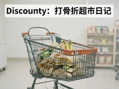 ����۳����ռ�Discounty��ʵ�����������