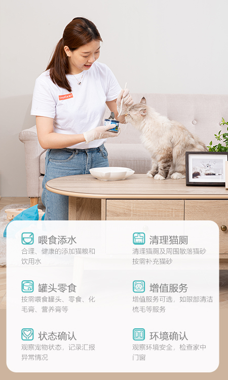 附近咪遇上门喂猫服务真实体验分享 猫咪托管预约流程