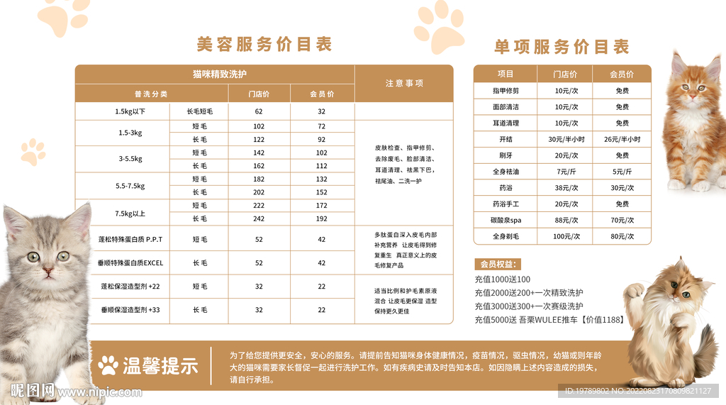 附近咪遇上门喂猫收费标准对比 宠物寄养价格参考