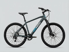 eBikeGo�綯���г����⹲��������ѡ��