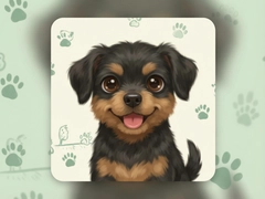 �ҵĳ���Pou���ɹ������ճ���鼼��