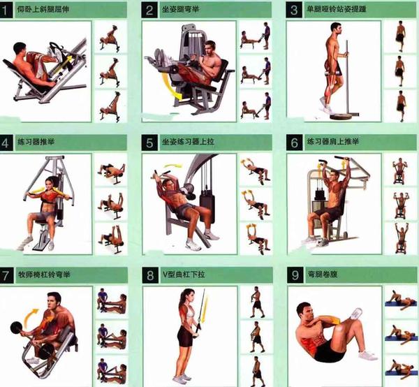 GaoFit�߷ɽ���ѵ���ƻ���������ָ�� �������������ͼ��