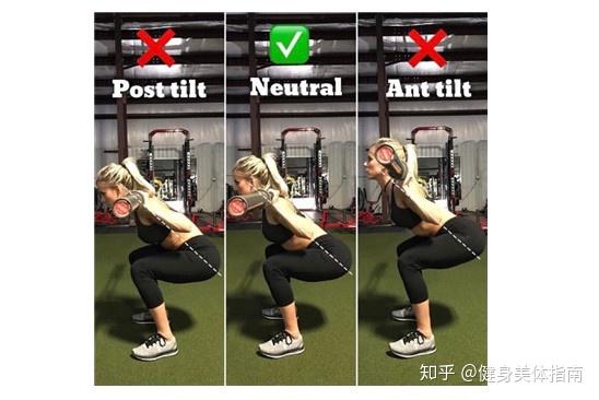 FreeFitness������׼������ѧ�볣���������