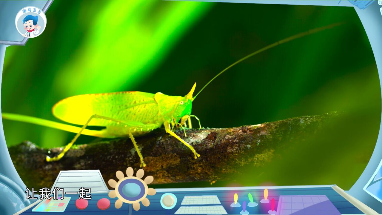 ֲ�����ռ�˯ǰ������Ƶ���Ž����ͼ
