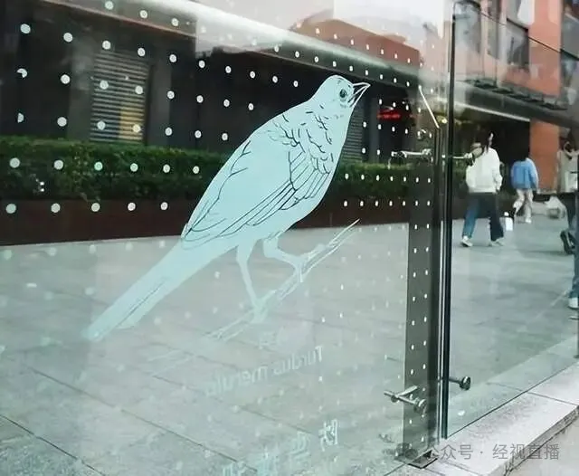 ���� ����ײ��ֽ�Ƽ�����ײ��������취ȫ��ͼ