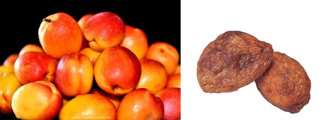 �������ʹ�ʵ�͸�Ʒ�Ա�ͼ