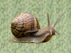 ��ţ�Ķ���ô�ò��������Ķ�Ч��