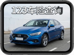 123���ղ�ѯ������Ϣ��췽��