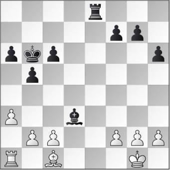 ��������Chess������ɱ���ӹ��� ����ʵս�Ծ���ͼ