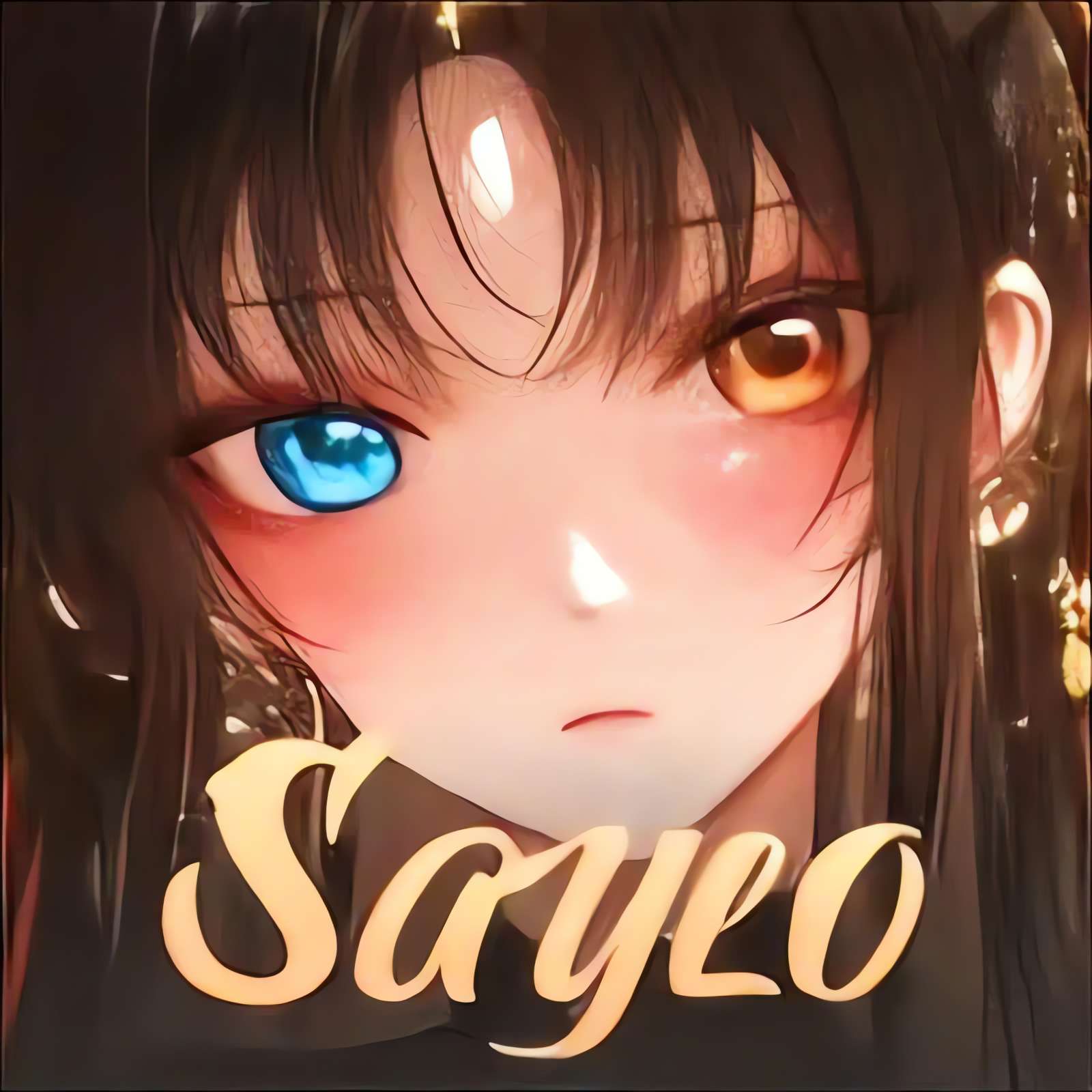 Saylo1.20.2 �����罻