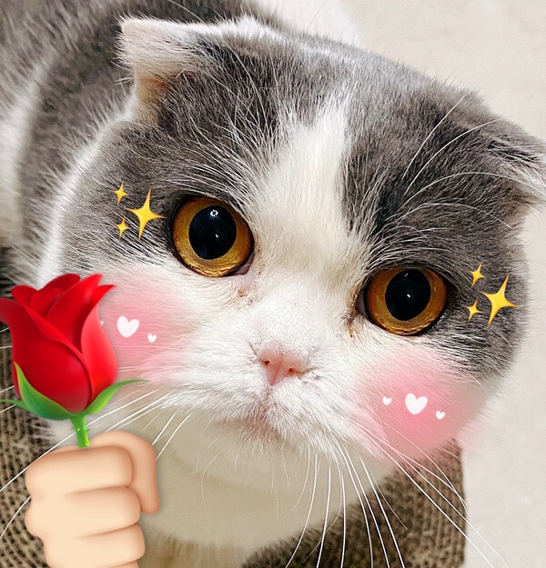 ͵������ץ�ֳ��ɰ�˲�� è����������