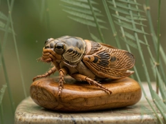 ľ��������������߾������������Ƽ�