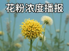 ���ջ���Ũ�Ȳ���ʵʱ��ѯ����������